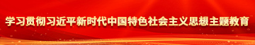 疯狂操逼视频网站学习贯彻习近平新时代中国特色社会主义思想主题教育