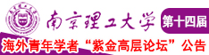 日骚批南京理工大学第十四届海外青年学者紫金论坛诚邀海内外英才！